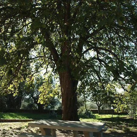 Antico Casale Di Montegualandro 4*