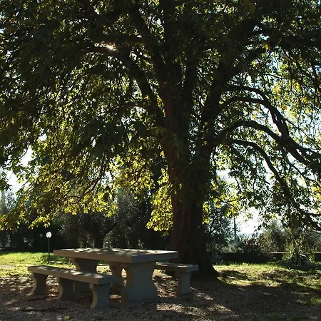 Antico Casale Di Montegualandro ホテル 4*